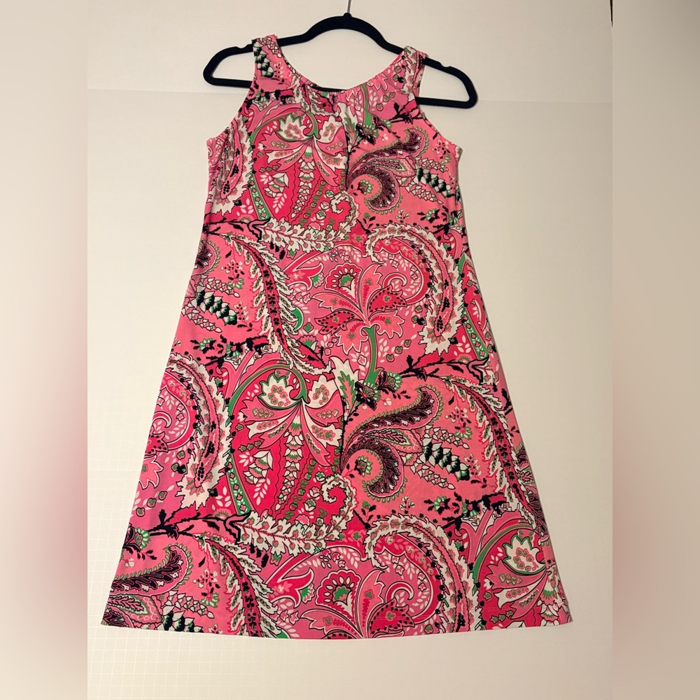 Kacey Montoya’s Closet | Ann Taylor Pink Paisley Dress